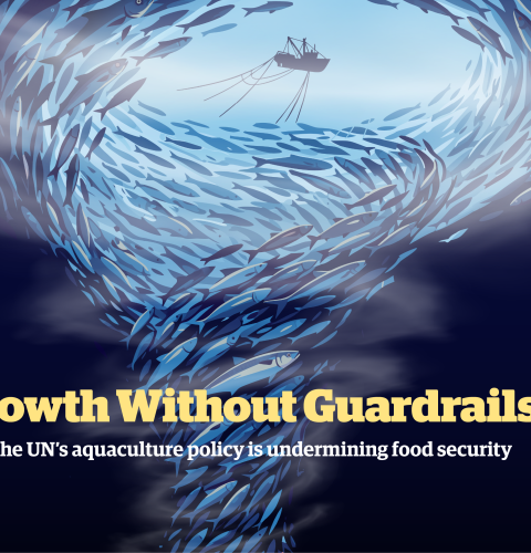 Growwitout Guardrails Changing Markets