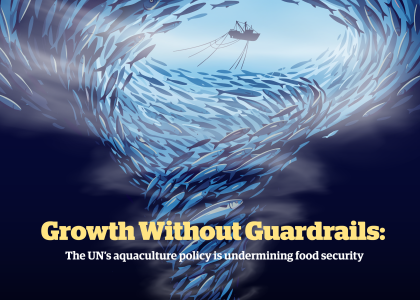 Growwitout Guardrails Changing Markets