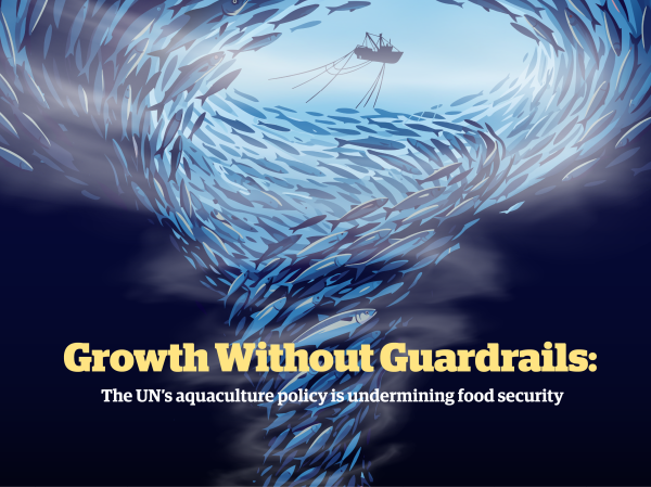 Growwitout Guardrails Changing Markets